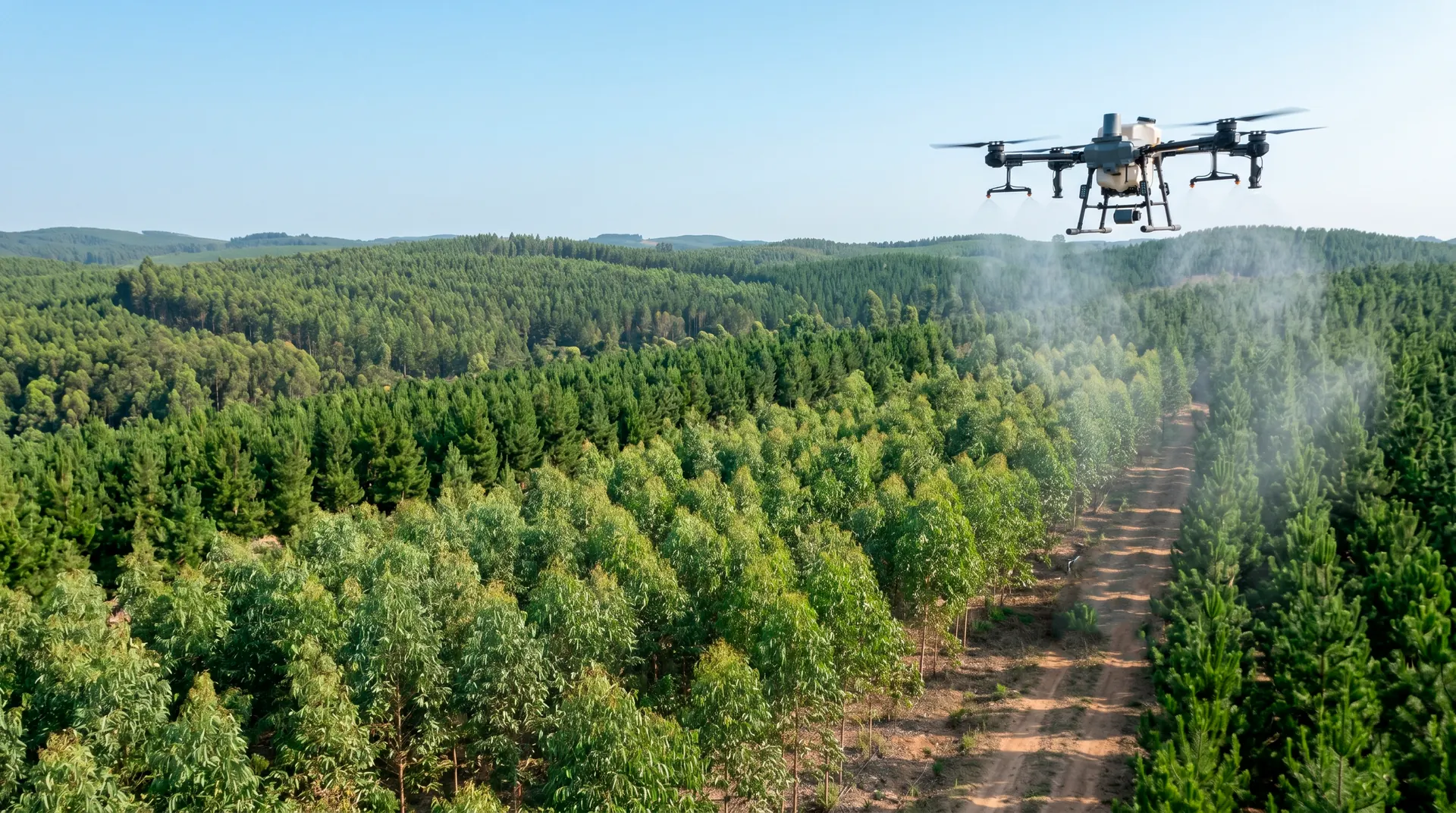 Pulverização com drone agrícola em plantio de eucalipto em Itapeva-SP